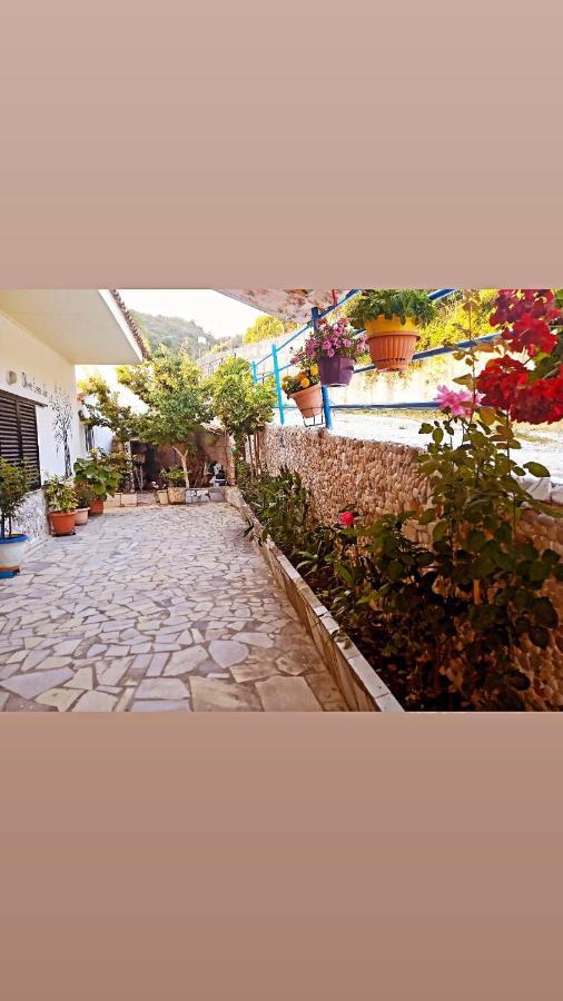 Olive Tree Villa Lygia  Exterior photo