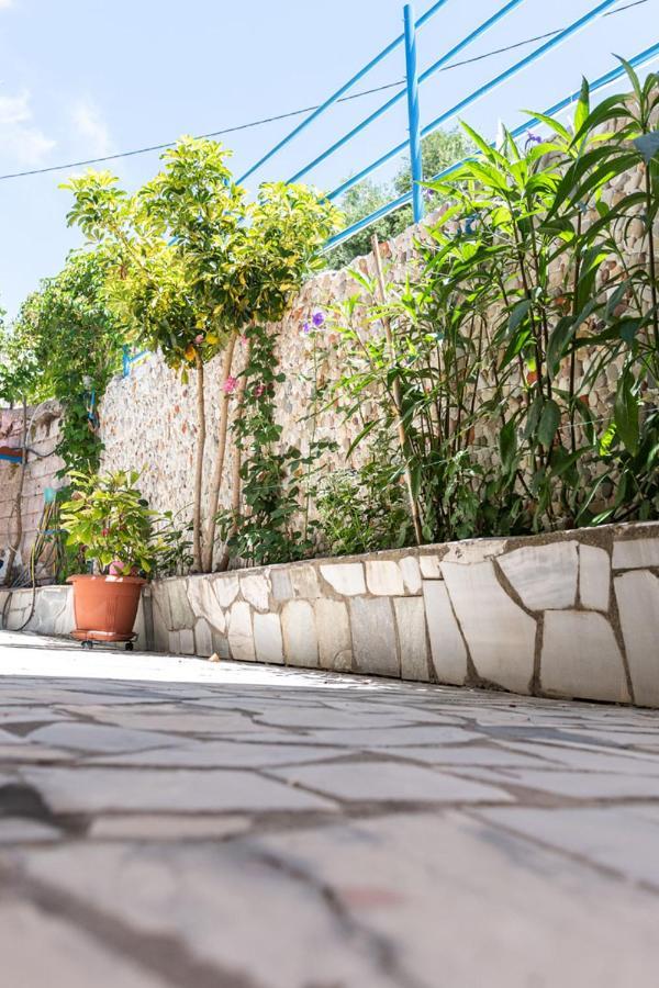 Olive Tree Villa Lygia  Exterior photo