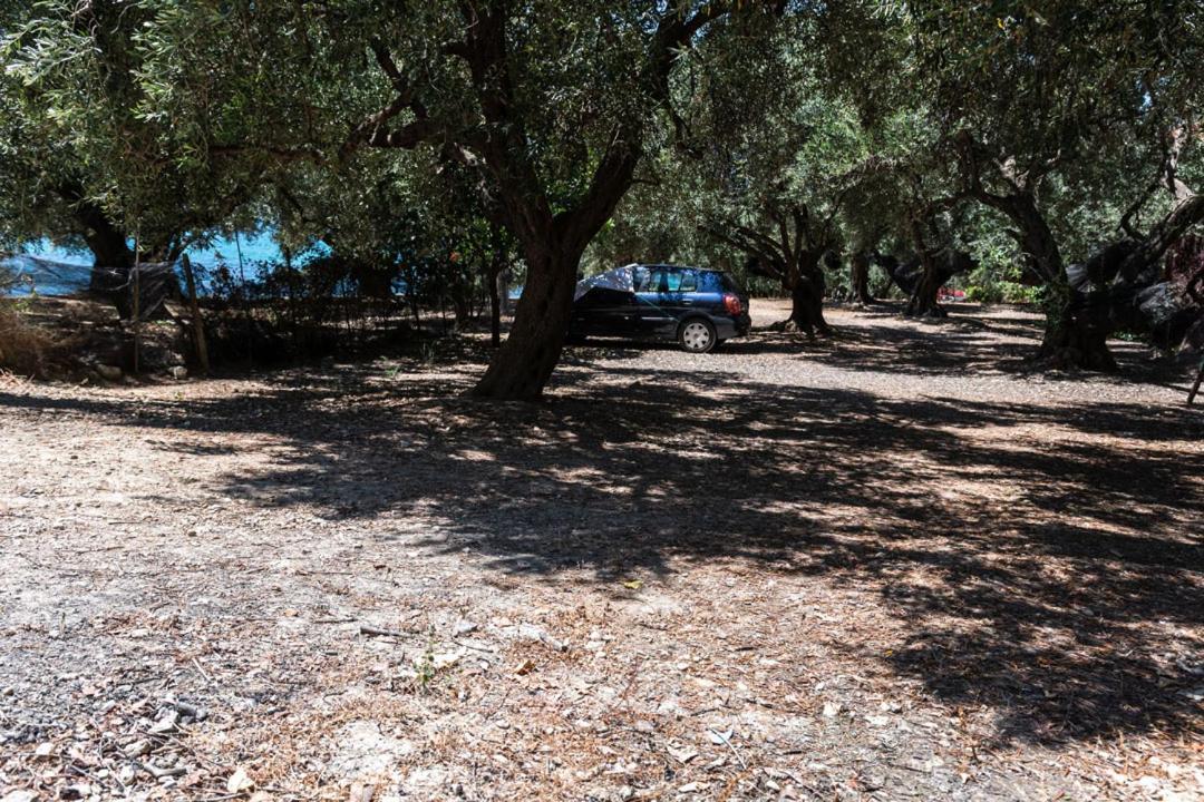 Olive Tree Villa Lygia  Exterior photo