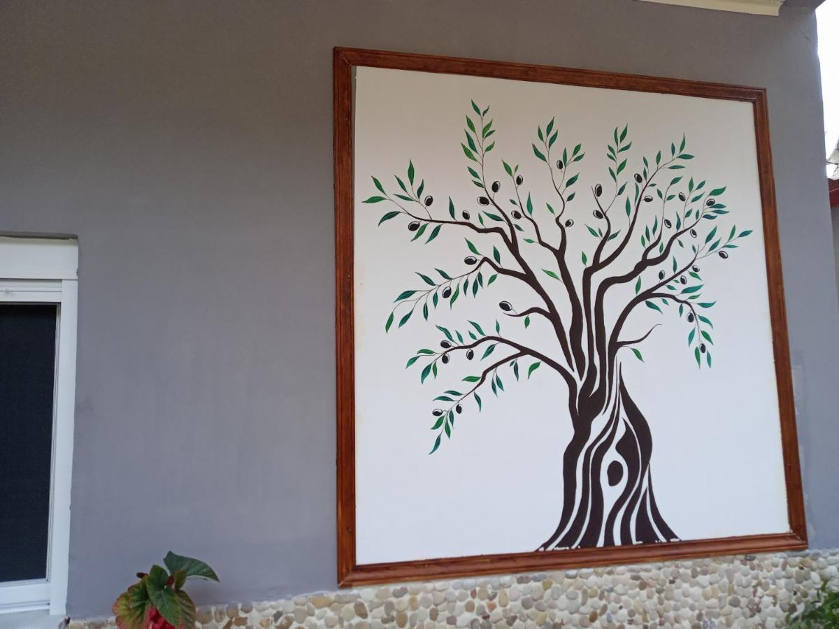 Olive Tree Villa Lygia  Exterior photo